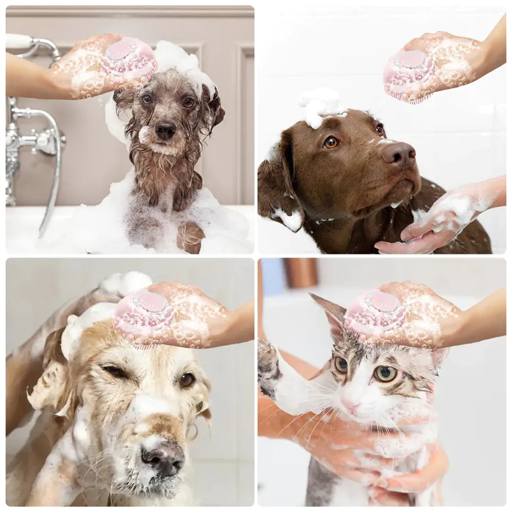 Soft Silicone Dog Brush to Clean and Well-Groomed